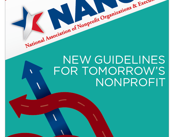 NANOE New Guidelines Assist Standard of Excellence Nonprofits